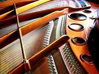 Grand piano frame and strings